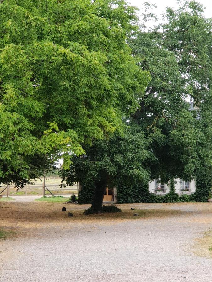 La Tilia Bed & Breakfast Saint-Riquier Екстериор снимка